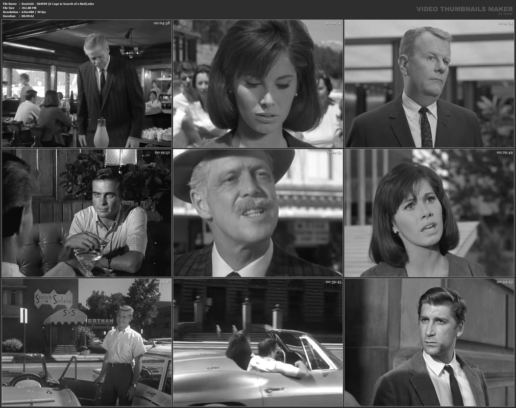 Route66 - S04E09 (A Cage in Search of a Bird).mkv