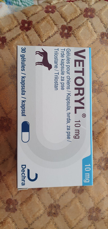 [Image: 20230212-114847.jpg]