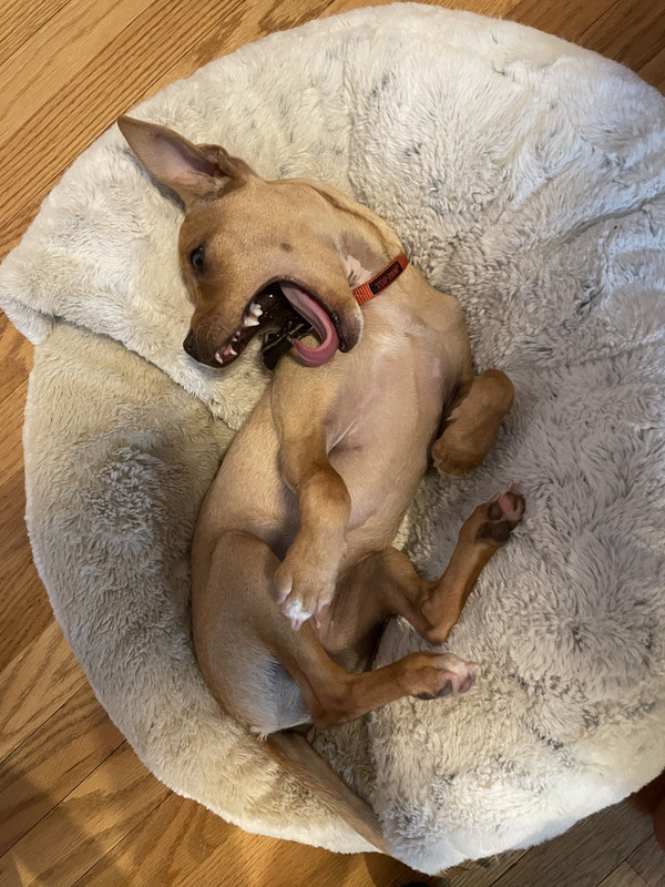 8AC7A32E-698F-451E-8F45-24BD71613ED9