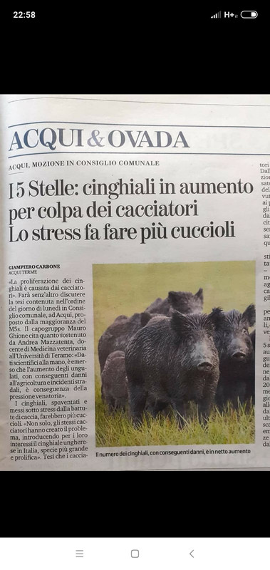 E805C5E4-AAA9-4E49-95C2-0F0A273A6FB8