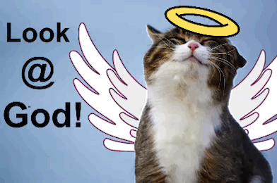 IMG-7630.gif