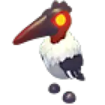 Marabou Stork