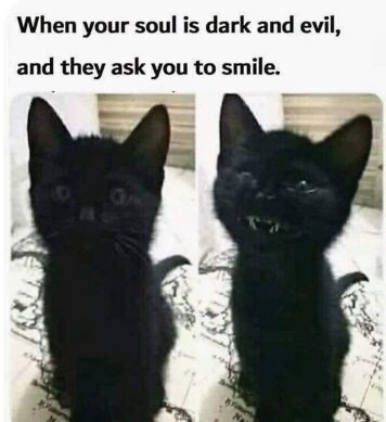 cat-soul-is-dark-and-evil-and-they-ask-smile.jpg