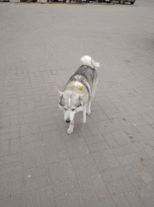 5D61D392-37E9-4E9B-B887-BDDEEEDF7053