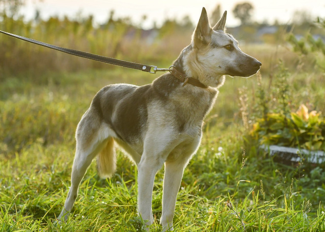 photo_2023-04-30_22-33-09 (2)