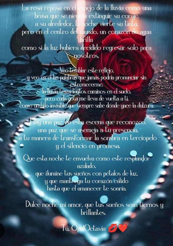 photostudio-1765457177414