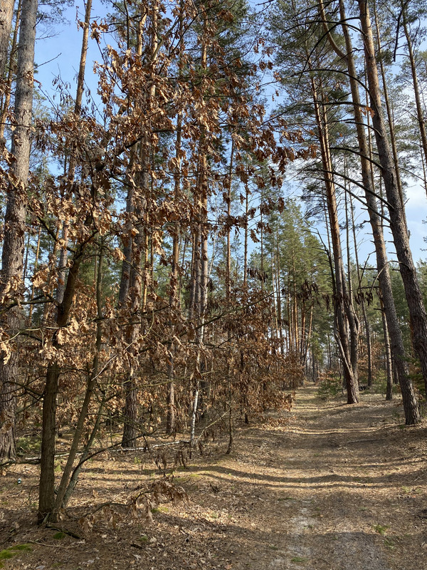 577DEA71-AA4C-44B2-8601-E15875A5628D