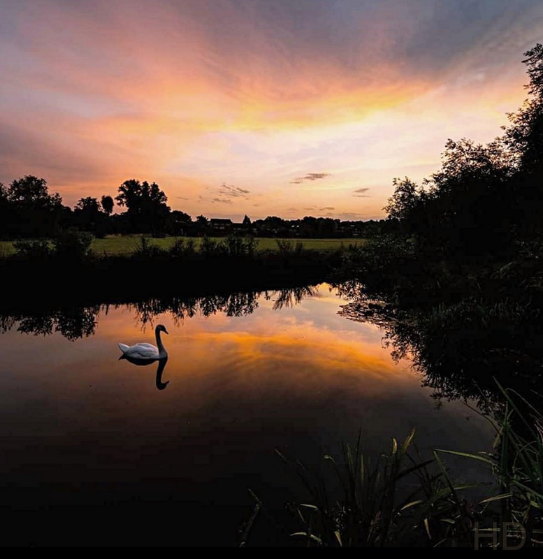 canal-night-dusk-HD.jpg