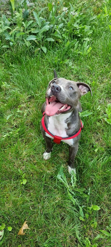 3DCCA298-02BA-42D7-9812-033AC1F44C9B