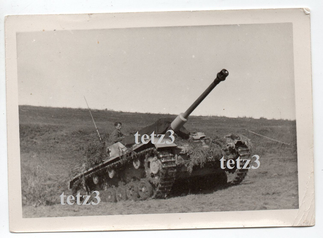 Russland Deutscher Panzer Tank Sturmgeschütz Lan