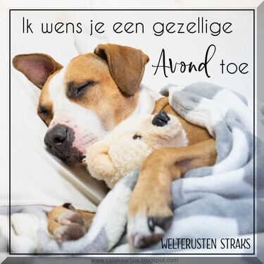 dinsdag.jpg  border=