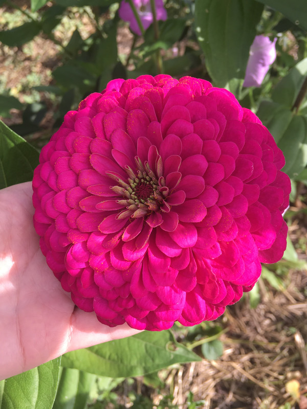 E2121D3C-B552-4BD6-B6A7-86E189434163