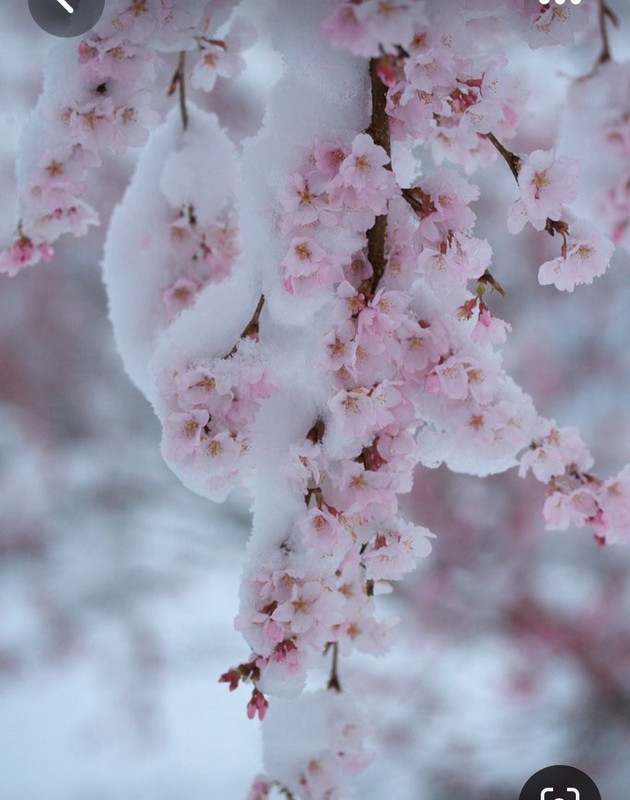 Screenshot_20230404_004748_Pinterest