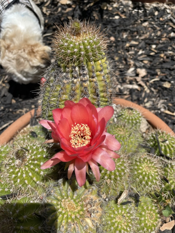 FA63C3BE-4A92-4D95-AC30-ED9A5926D308_1_105_c