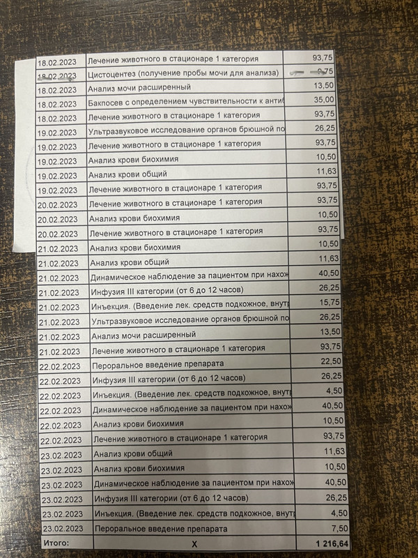 C9211431-9241-4C42-8996-750E991E1AD2