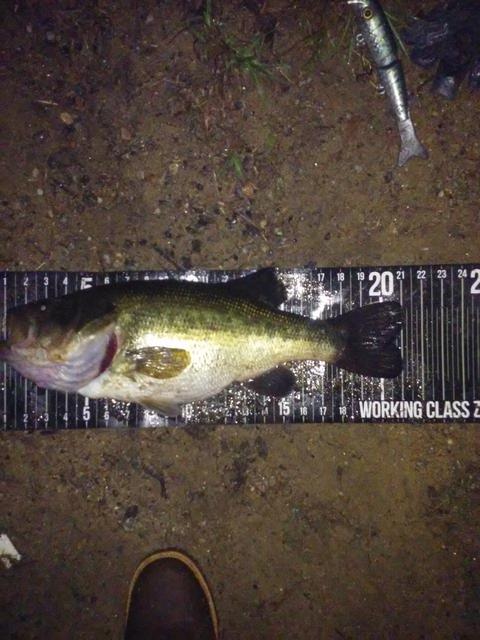 IMG_20180729_043347