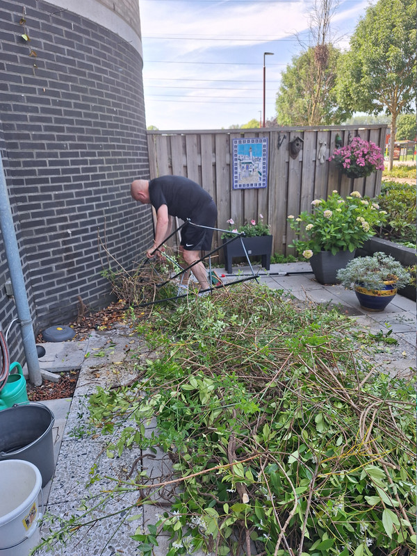 Afbeelding