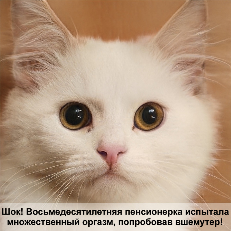 кошки без шерсти название