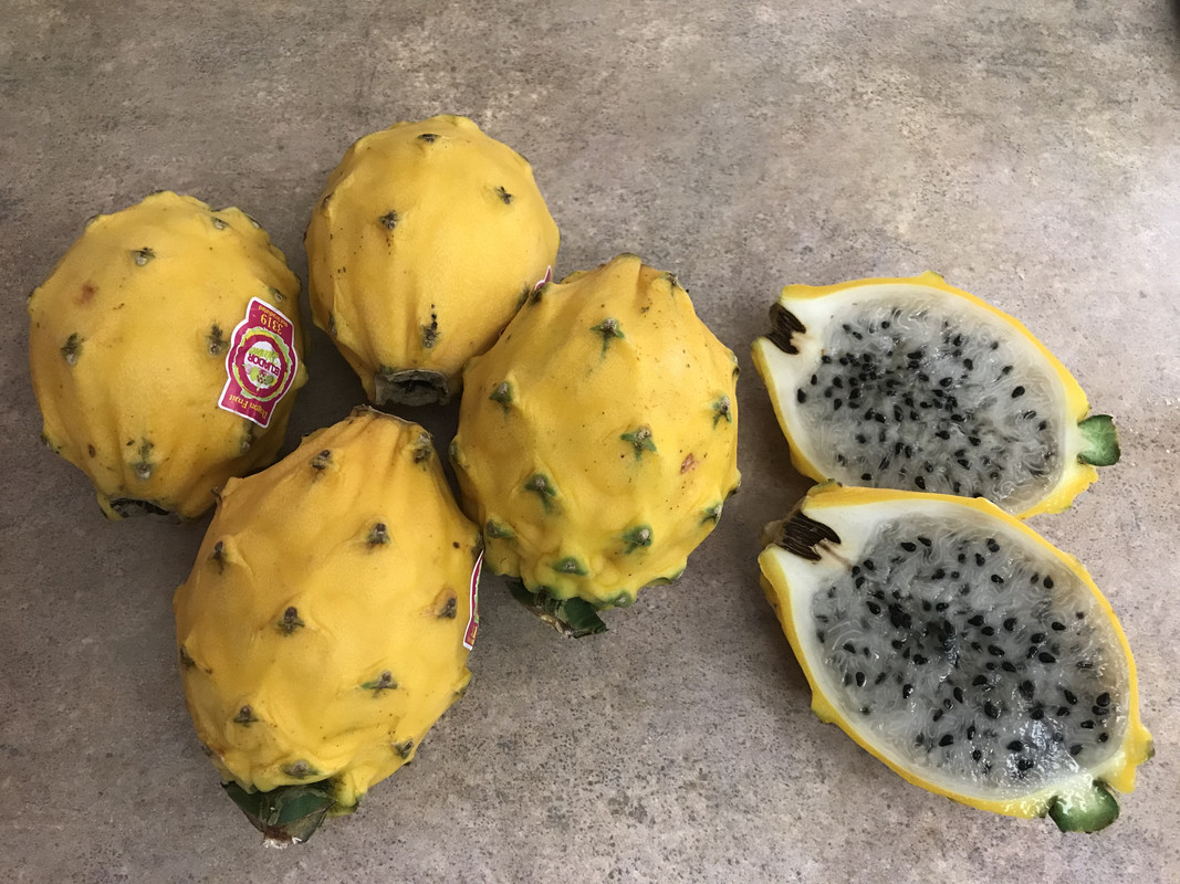 5AC2A852-0E3B-4B8D-865A-D97C97307A2A