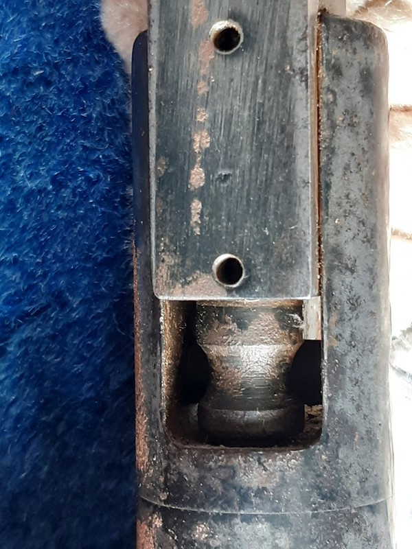 454842394_1174566240323294_5255157359267050189_n