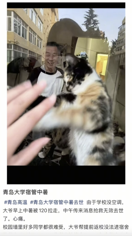 https://i.postimg.cc/ZqQwsXXv/imige-7.png