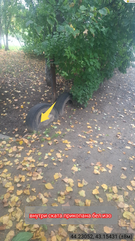 iMarkup_20251019_214502