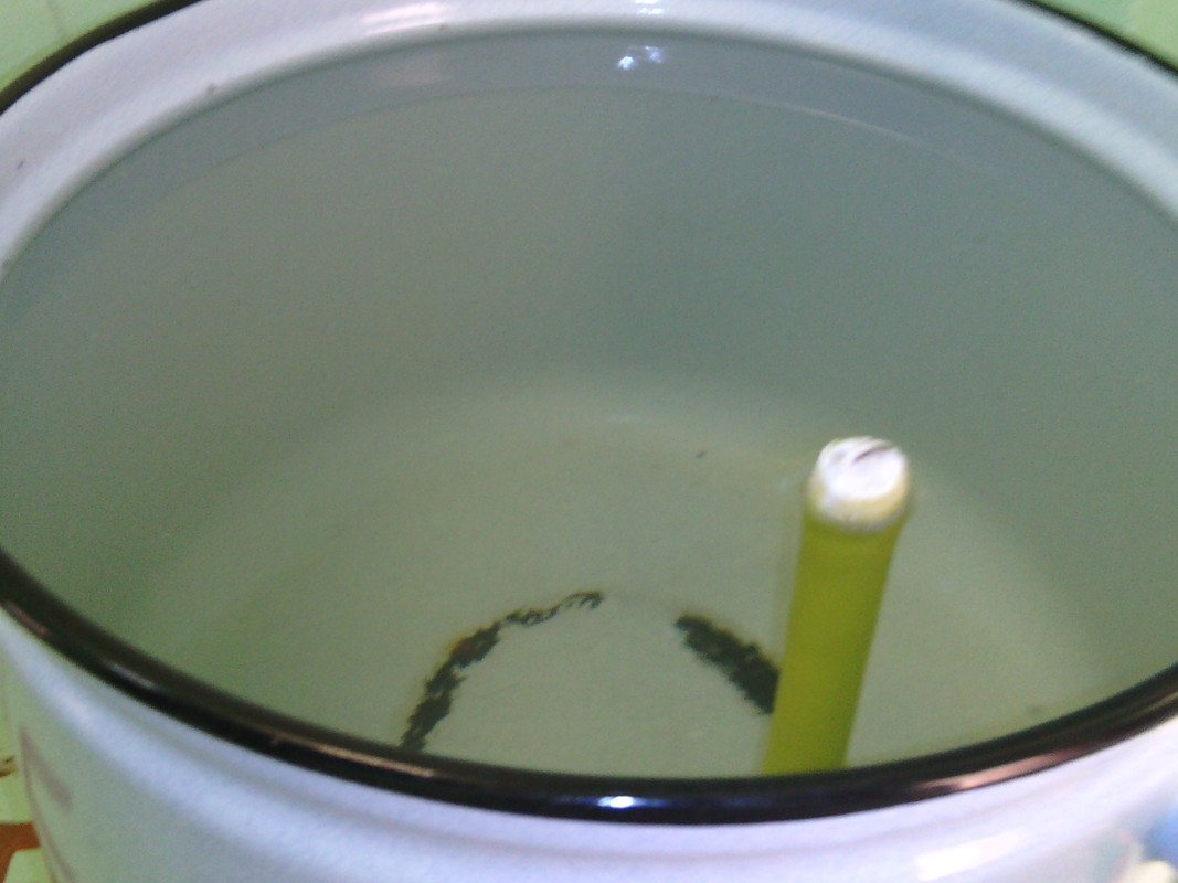 IMG_20140915_142403 (1)