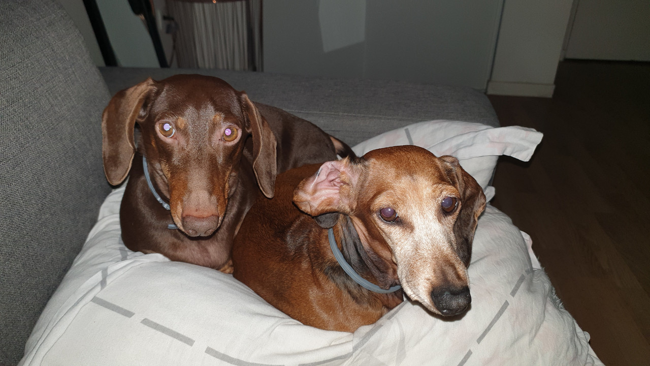 [Image: 20220225-220615.jpg]