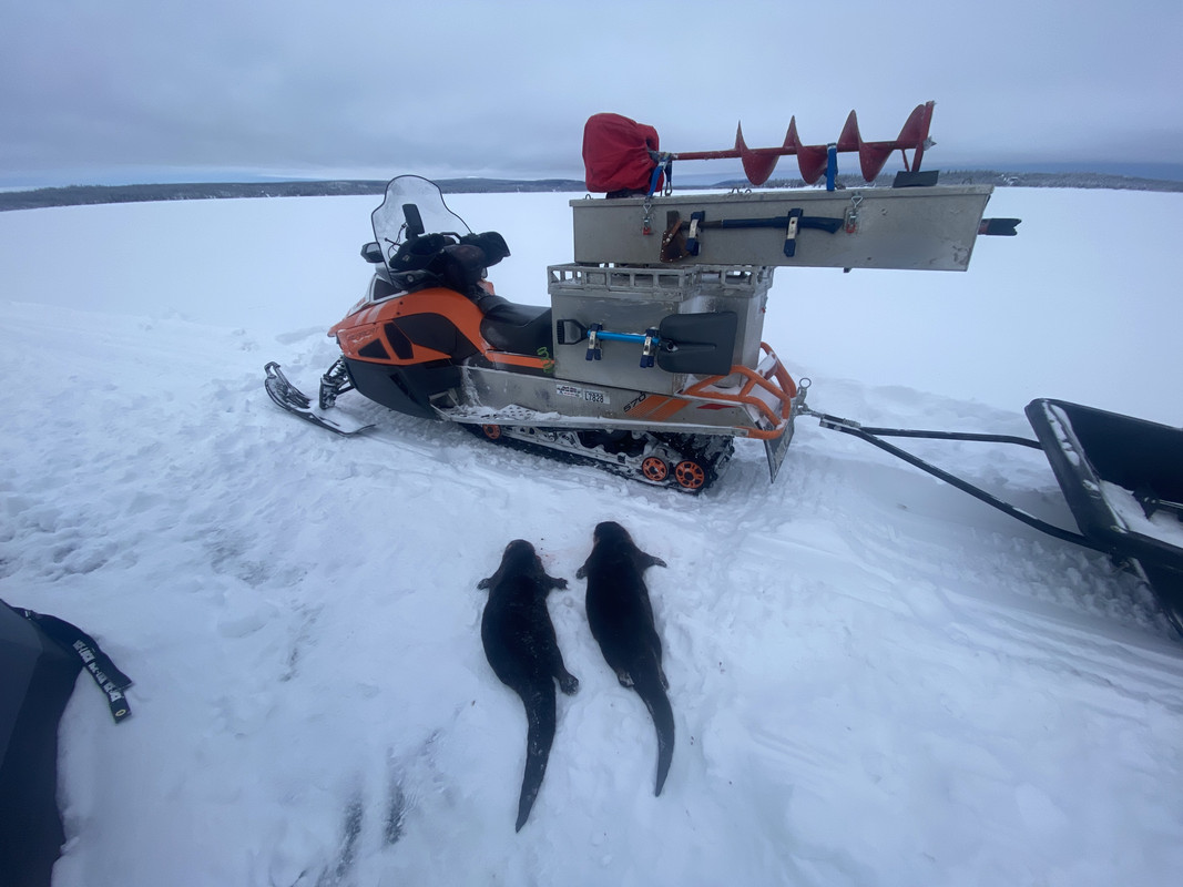 05D1C0A7-061F-45D7-A0E5-EFC9A6593829