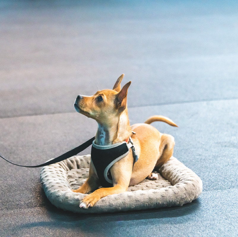 41BC9EEA-9CC0-4BC0-8849-12627A100D9E