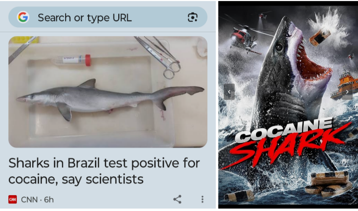 Screenshot_20240723-155119