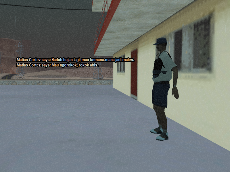 SS1.png