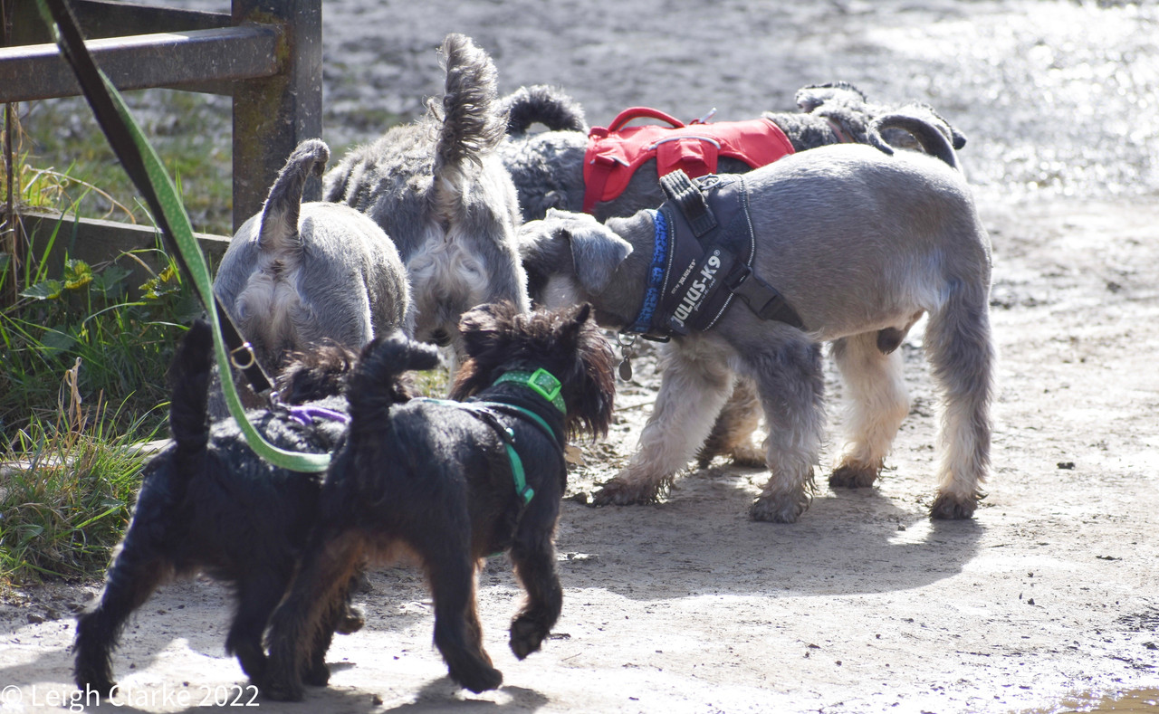 867315DA-F7A4-4843-8136-66127AB49409