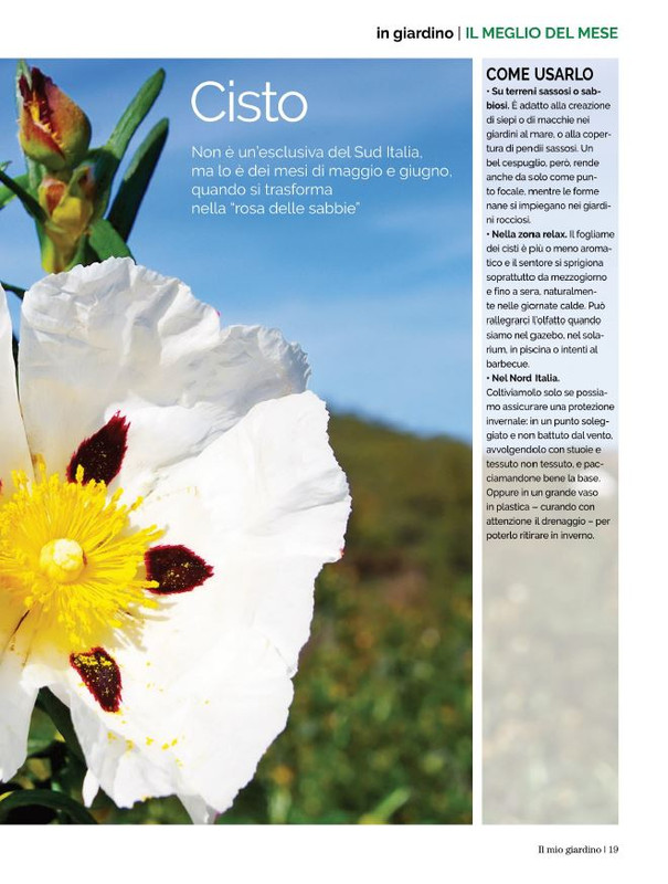 Il Mio Giar GIu-Lug 2022 (4)