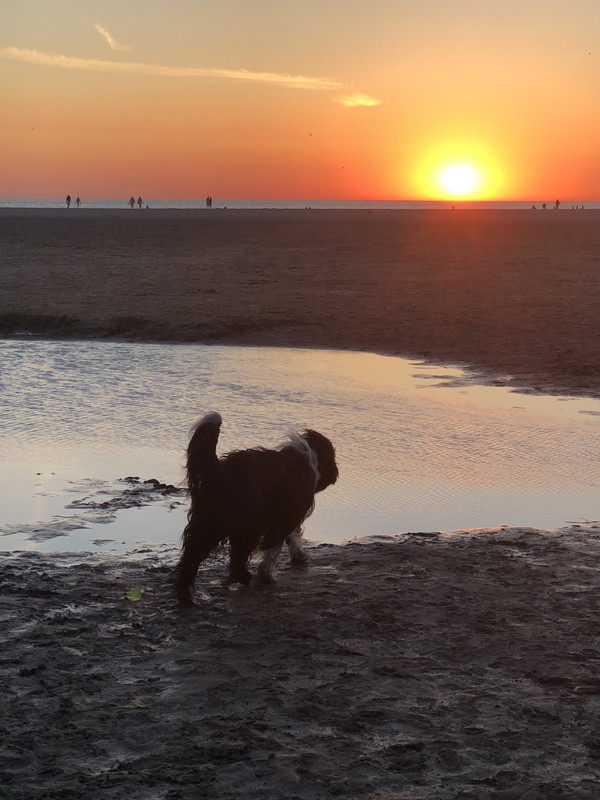 224A187C-A1DE-42C6-A1D8-C172E867EDC2