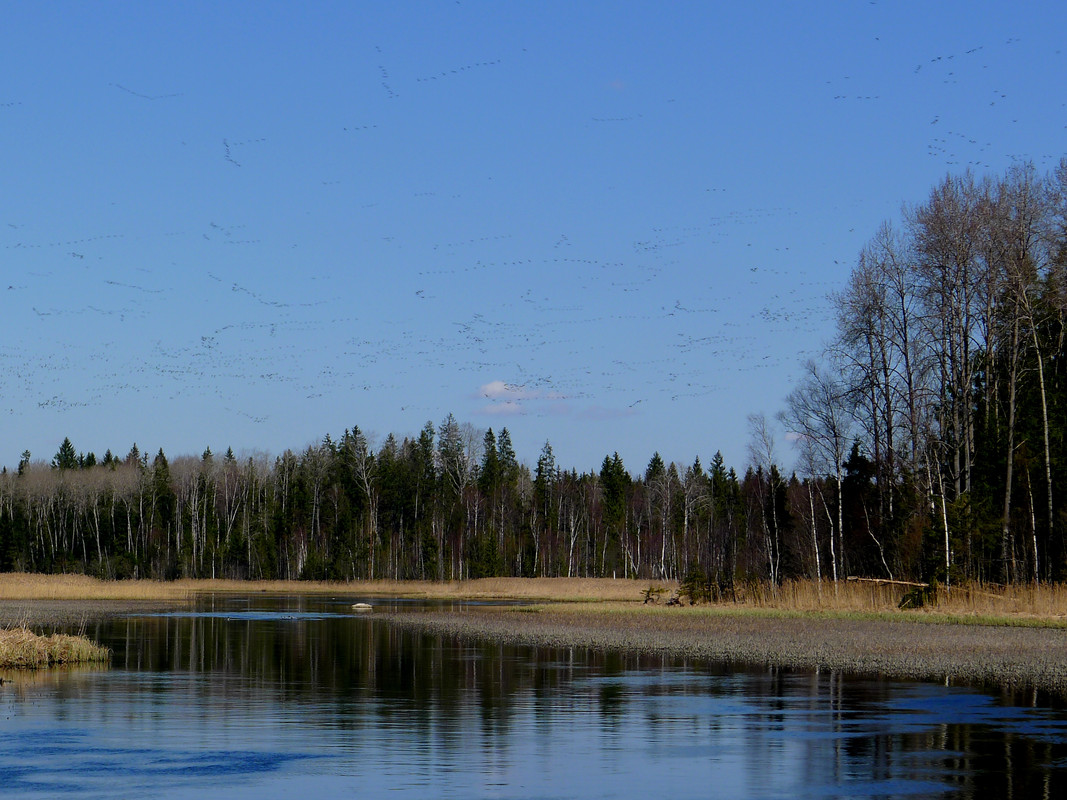 P1060866 - копия