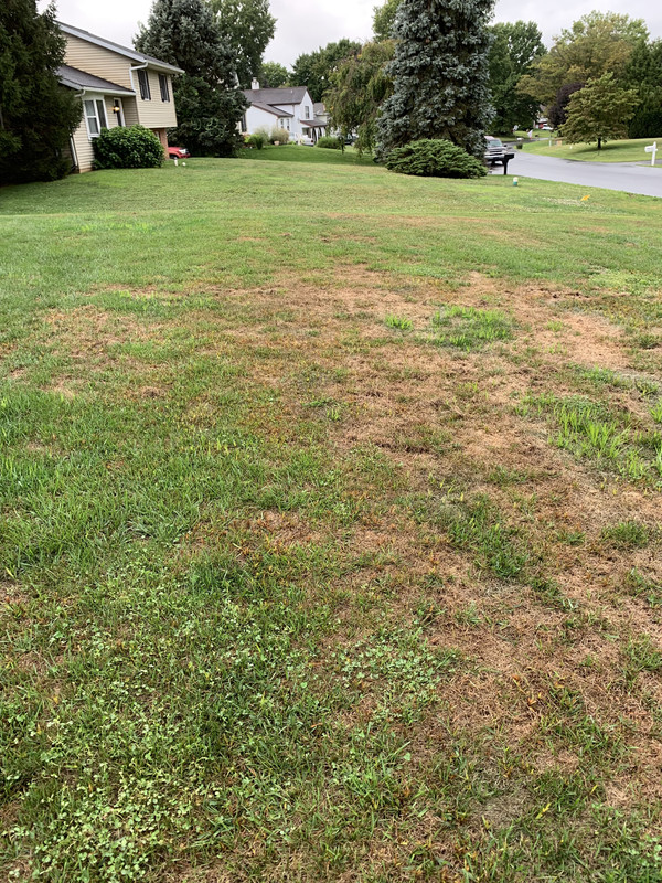 3C7A1933-02D8-450C-BB22-ADC8600BA6D7