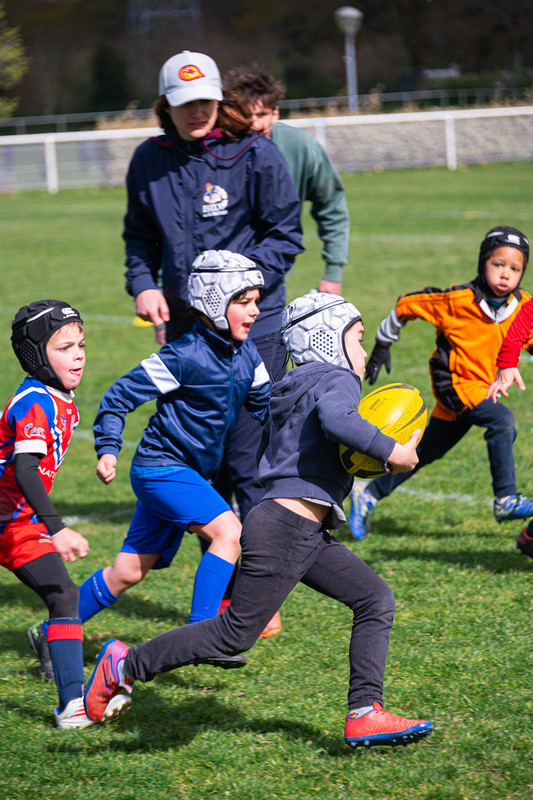 tournoi-de-latlantique-2026-adonis-griffon-135-55181546849-l