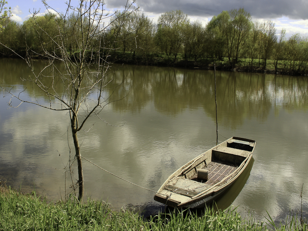 BORD_DE_LOIRE-bis