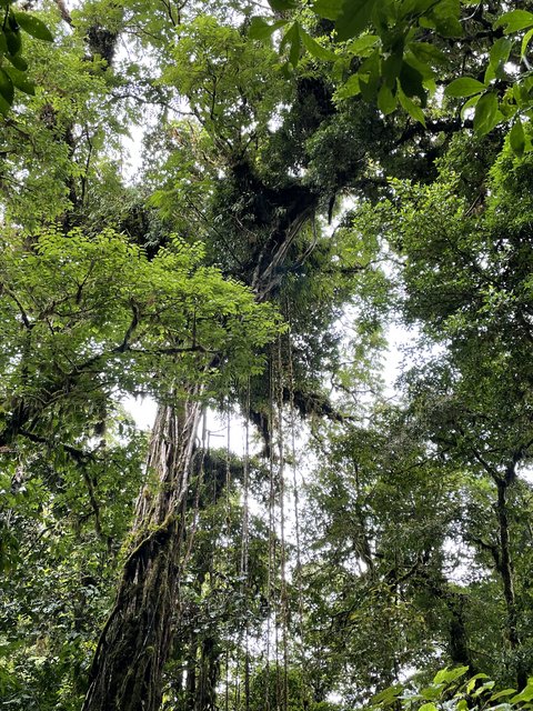 Reserva biológica del bosque de Monteverde - Tamarindo - Costa Rica desde el aire. Una ruta diferente. Julio 2021 (4)