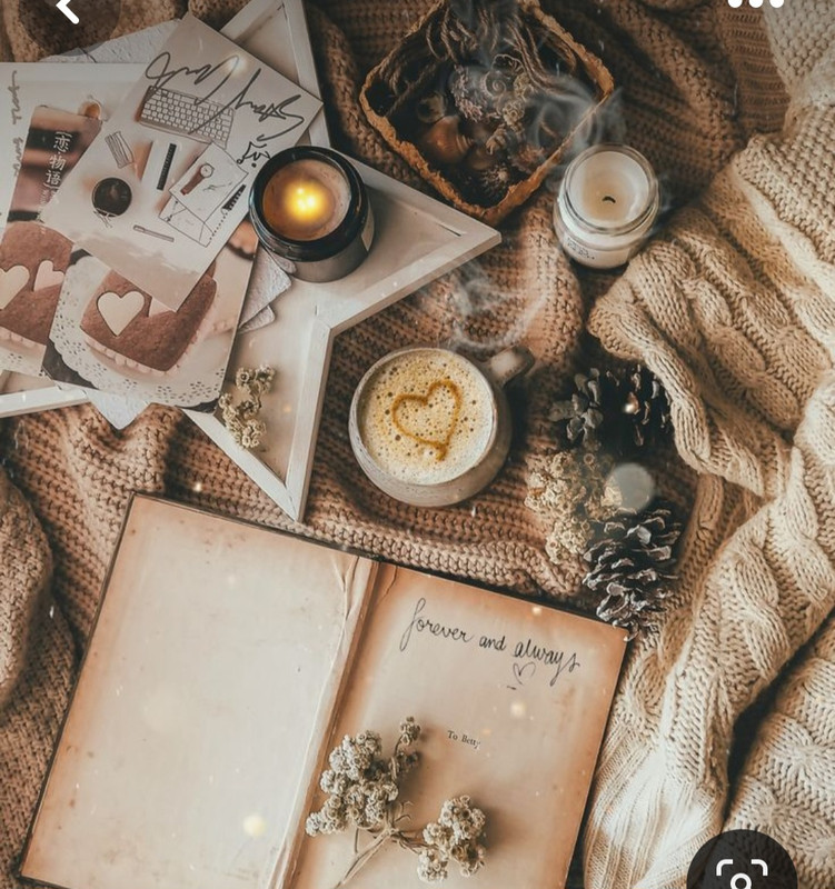 Screenshot_20231121_221708_Pinterest