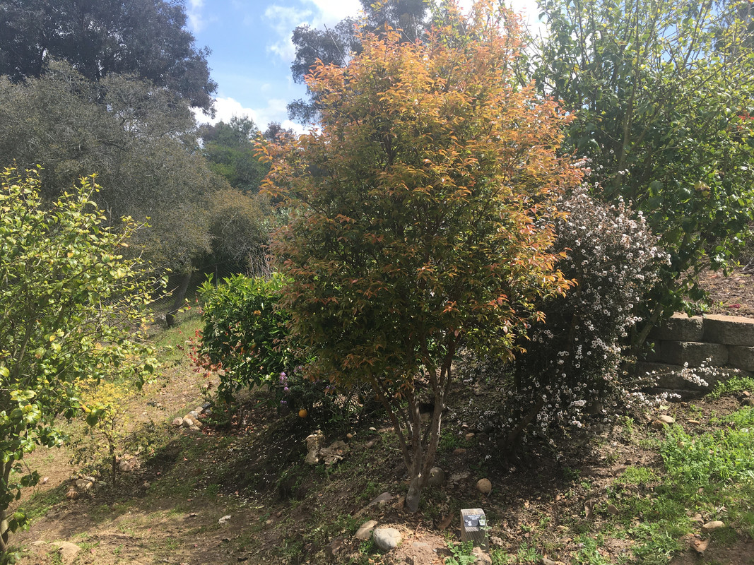 D3AA1988-2DC6-47D0-9E85-DF9189989A8E