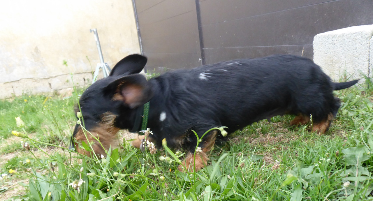 [Image: P1030704.jpg]