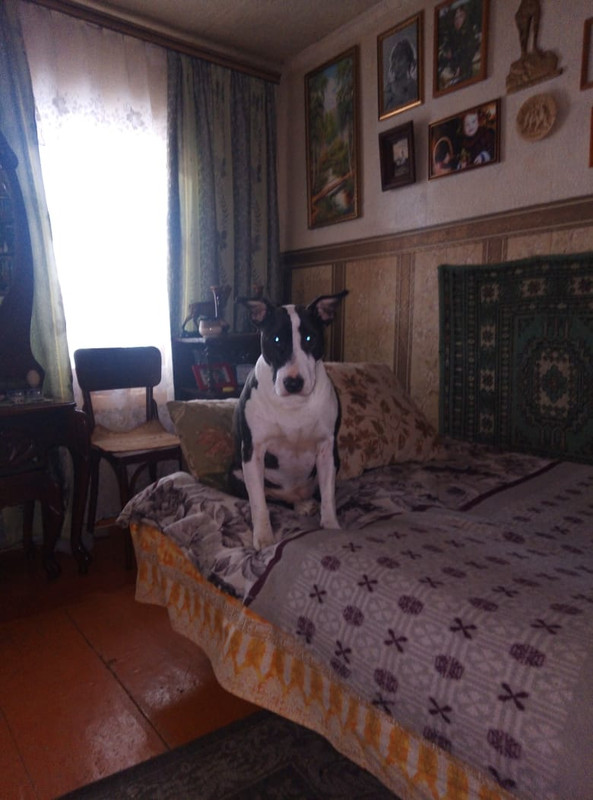 01C01BAF-8FFD-48B2-9A32-7EF367C9006B