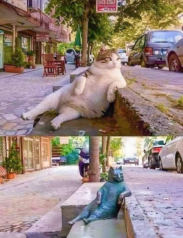 022.jpg