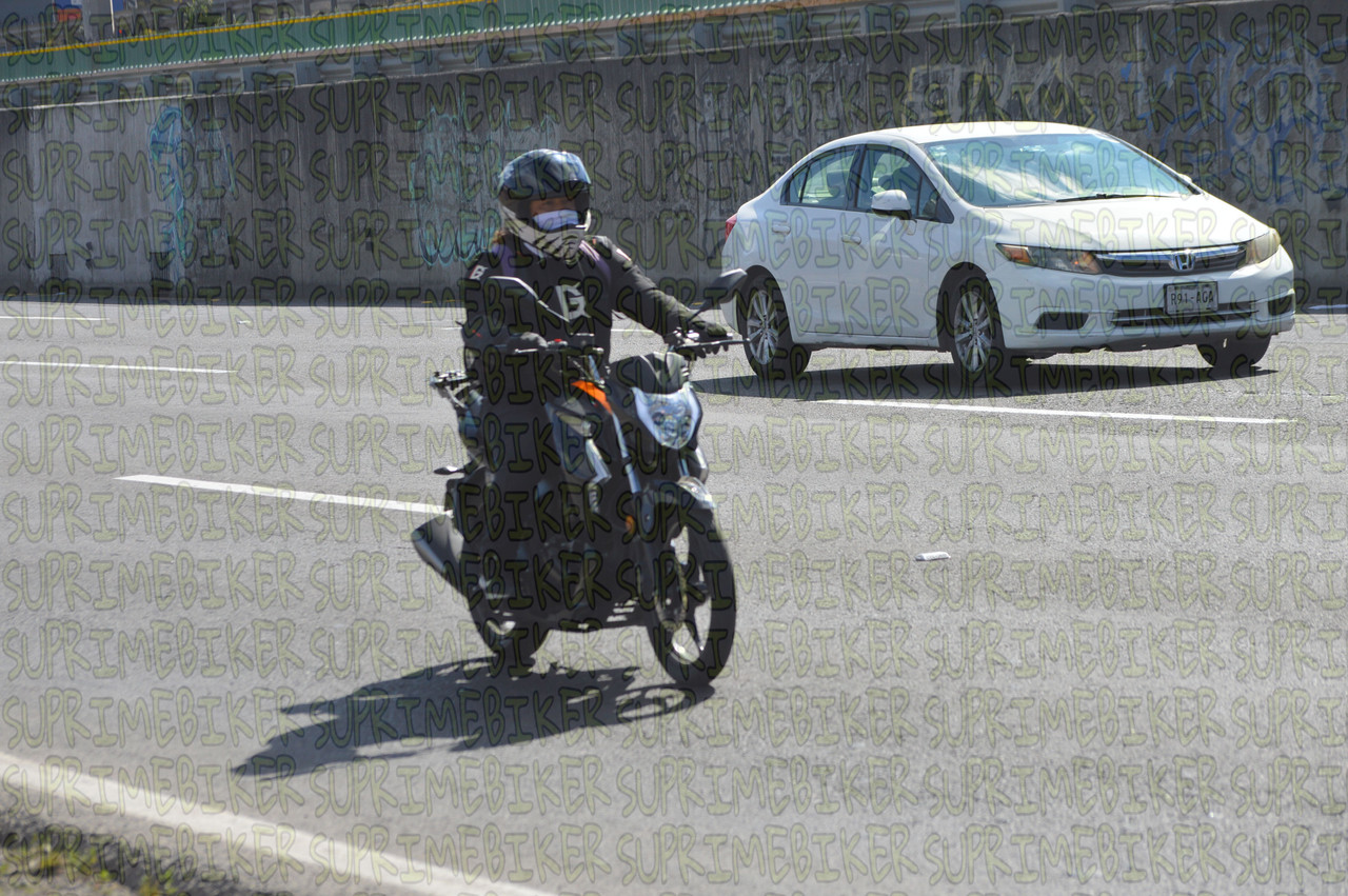 DSC 0348