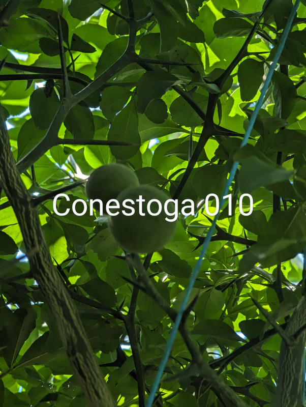 PXL_20230817_184143179~2