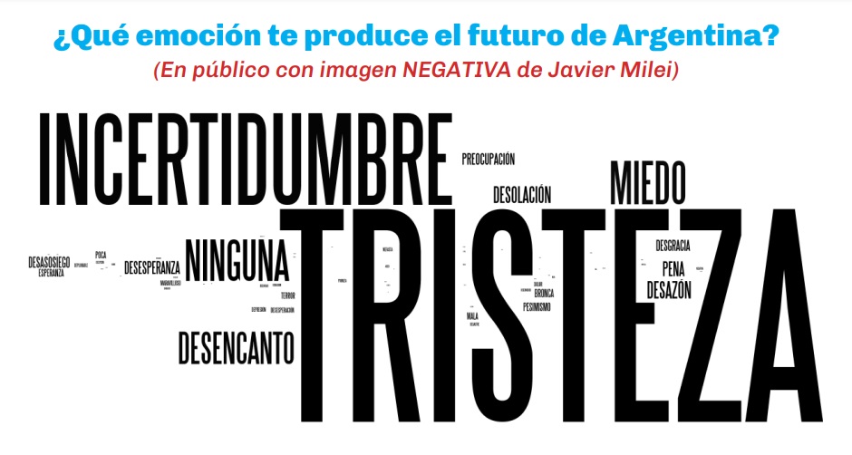 Fly-Milei-estadisticas5