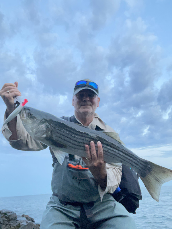 B7F945B2-E3CE-4AB1-8B71-D8A41EFF0D3A