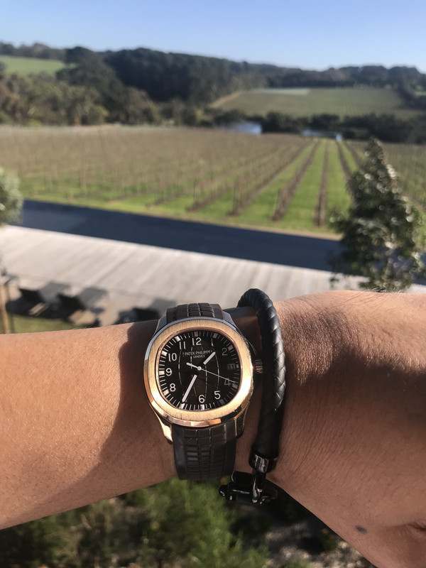 9F23A6E9-9A5C-46F5-A4A8-9E0CEAFF38DF